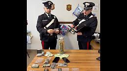 Nuovo colpo allo spaccio nel Canavese: padre e figlio arrestati con più di mezzo chilo di droga