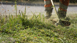 Il paese è senz'acqua, il Comune taglia l'erba: residenti furiosi