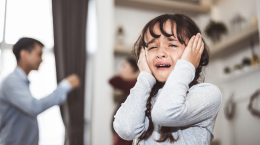 A Ivrea testimonianza shock nel processo per abusi sessuali su una bimba di 10 anni: "Mia sorella si è inventata tutto"