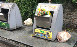 Borgofranco, rifiuti abbandonati: beccati i "maialini". Scattano multe da 300 euro 