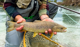 Pescava trote nel Parco Nazionale del Gran Paradiso: a processo un 75enne del Canavese