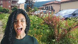 San Mauro giungla urbana: incuria e scaricabarile sulla gestione del verde pubblico