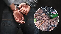 Degrado senza fine: siringhe tra i palazzi e i negozi. Chi si droga in piazza Garibaldi? (VIDEO)