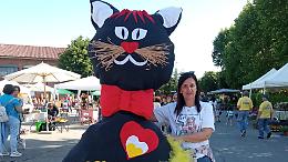 A Montanaro un “Preludio d’estate” tra fiori, gatti e creatività: piazza Donatori di Sangue si trasforma in un piccolo festival della natura
