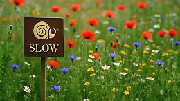 Biodiversità a rischio estinzione: Slow Food accusa il sistema agroalimentare e denuncia lo sfruttamento genetico globale
