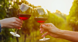 Dal Barolo all'Erbaluce, il Piemonte si prende la corona mondiale del vino