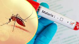 Malaria: uno studio internazionale potrebbe essere la svolta definitiva