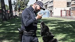 Controlli con cani antidroga tra Novi Ligure e Serravalle: i carabinieri passano al setaccio centri storici, outlet e giardini pubblici