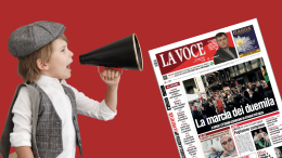 Intimidazioni al figlio dell'assessore: è bagarre a Chivasso