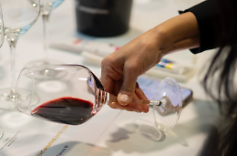 PFAS nel vino: i dati shock che allarmano l’Italia e il Piemonte
