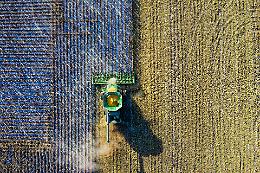 Distretto del Cibo: il Canavese fa squadra per qualità e innovazione. Il dibattito in consiglio comunale