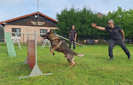 Volpiano, i cani-eroi in azione: il Capo dei Vigili del Fuoco visita la Scuola Cinofili VVF