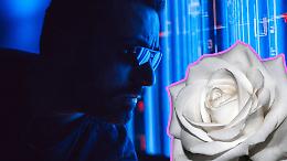Operazione White Rose: un duro colpo alla rete di pedopornografia online in Italia