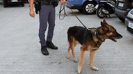 Maxi sequestro in appartamento: arrestati due uomini, uno colombiano e uno italiano
