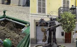 Vandali nella notte a Chivasso: pianta sradicata e posizionata sulla statua dell’Angelo