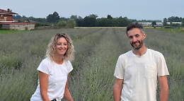 Agrisole, l’azienda agricola che profuma di lavanda e passione: cosa succede il 28 e 29 giugno