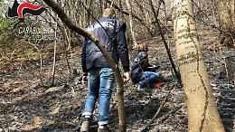 Incendio in Canavese: scintille nel bosco, otto ettari in fumo
