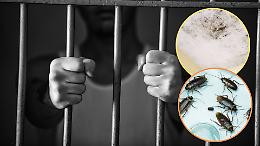 Carceri piemontesi tra muffe, legionella e sovraffollamento: il report choc delle ASL
