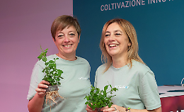 Le sorelle di Ivrea che fanno crescere l’insalata… senza terra