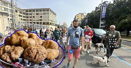 "Una legge rischia di cancellare 100 anni di tradizione". Scendono in piazza i trifolai