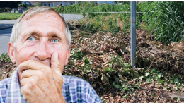 Quartiere San Giovanni: discarica a cielo aperto in viale Biella. Puzza, topi e rifiuti ovunque. E il Comune?
