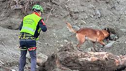 Tragedia sulle Alpi: escursionista precipita per 500 metri sotto gli occhi degli amici