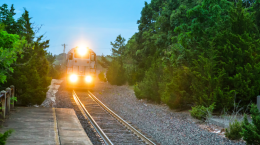 Il vento abbatte un albero sulla Rivarolo-Chieri: disagi e treni cancellati