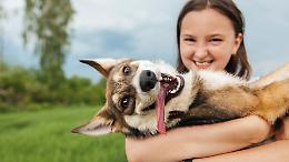  Il caldo può uccidere i nostri animali, ma tu puoi salvarli!