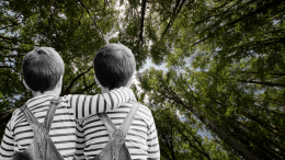 Vivono nel bosco senza identità: la storia sconvolgente di due bambini "fantasmi" per lo Stato