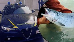  Pesce d’oro e soldi fantasma: sequestrati 9 milioni a gruppo ittico sotto inchiesta