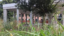 Erba alta e lavori fermi alla scuola di Venaria: scoppia la polemica