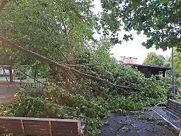 Tromba d'aria su Settimo Torinese: il Parco Lama devastato, urgono misure di prevenzione e sicurezza