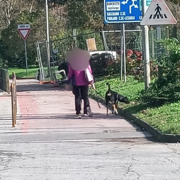 Area cani a Banchette: 27 mila euro per il nulla