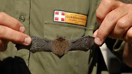 Non abbiate paura dei pipistrelli