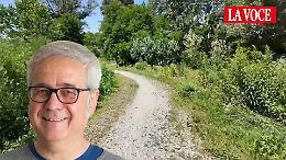 Chivasso investe sul verde: interventi da milioni tra parcheggi, viali e boschi (VIDEO)