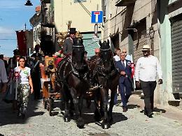 San Savino 2026, ecco il manifesto: vince l&rsquo;illustratrice Cecilia Negri