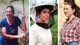 Donne che salvano la terra (in Canavese): le storie emozionanti di Elena, Marzia e Ariele