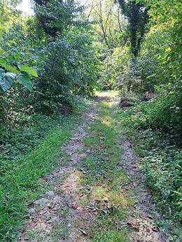 Ex parco Roggia Rossa devastato e abbandonato. Sindaco assente