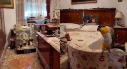 Animali tra i rifiuti: nell'appartamento degli orrori anche 40 pappagalli e un drago barbuto (VIDEO)