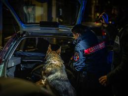 Orrore in centro: 40 pappagalli e altri animali abbandonati tra feci e immondizia