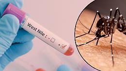 Allarme West Nile: due morti in Italia nel 2025, uno in Piemonte. La circolare del Ministero mette in allerta tutti