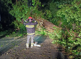 Alberi caduti e rischio frane: chiusa la Provinciale 4