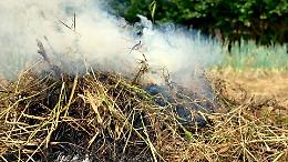 Incendio devastante a Castagnole Lanze: in fumo un intero anno di raccolto, fiamme ancora attive dopo una notte intera