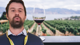 I dazi USA strozzano il vino torinese: Freisa, Carema ed Erbaluce a rischio 