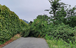 Maltempo in collina: strade chiuse e rischio smottamenti