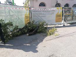Paura al Balon, ramo crolla sulle bancarelle