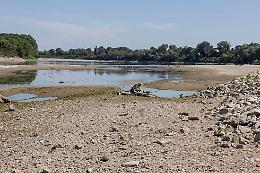 La Regione vuole i fiumi morti e tra Chivasso e Crescentino l'acqua già non c'è più
