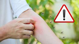 Allarme West Nile in Italia: casi in aumento del 59% in una settimana e 19 morti