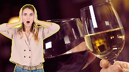Crisi del vino piemontese: cantine storiche chiudono e consumi in calo. "Siamo al punto di non ritorno"