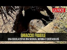 Ghiaccio Fragile 2025: il racconto di una settimana di formazione nella montagna - VIDEO